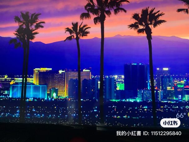 Colorful city skyline at dusk, framed by silhouetted palm trees.